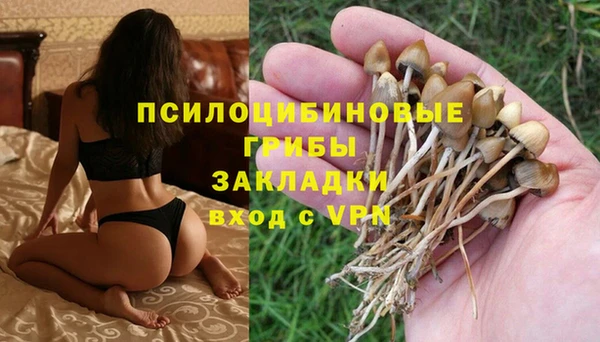 гидропоника Аркадак