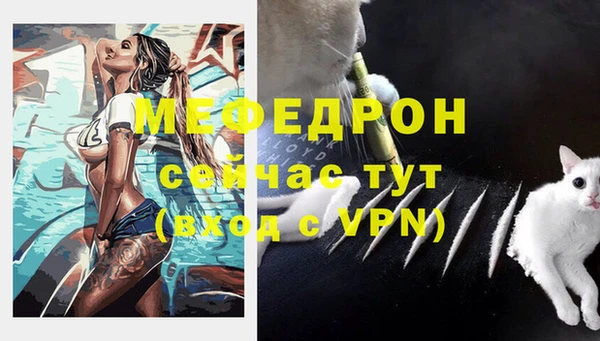 спайс Арсеньев