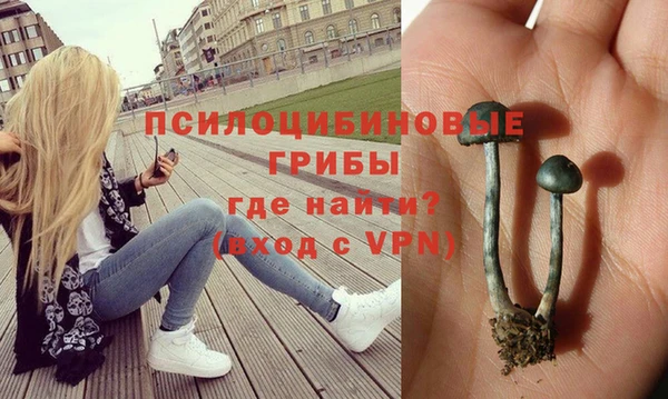 прущая мука Армянск