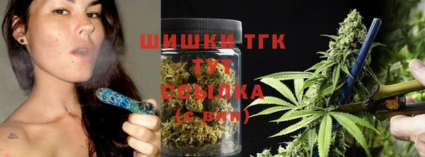 спайс Арсеньев