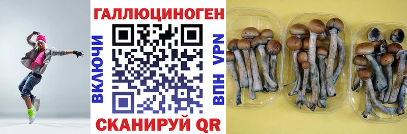 Купить  Уяр  Псилоцибиновые грибы мицелий 